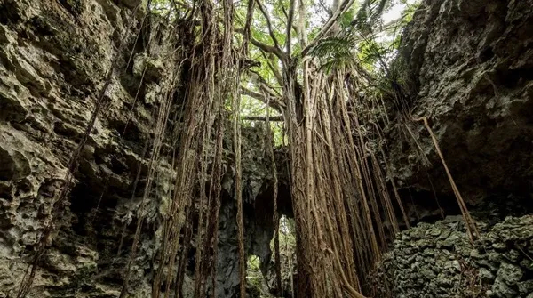ガンガラーの谷ウォーキングツアー