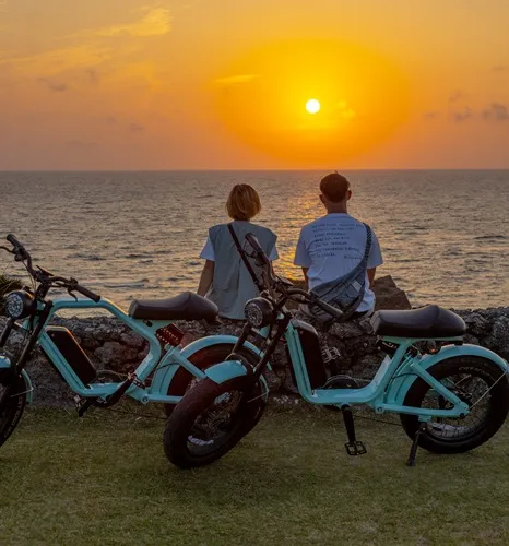 アクティビティ